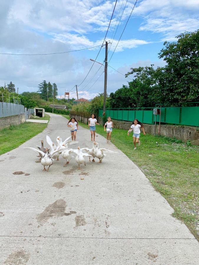 Tskaltubo Village - Nature Resort Екстер'єр фото